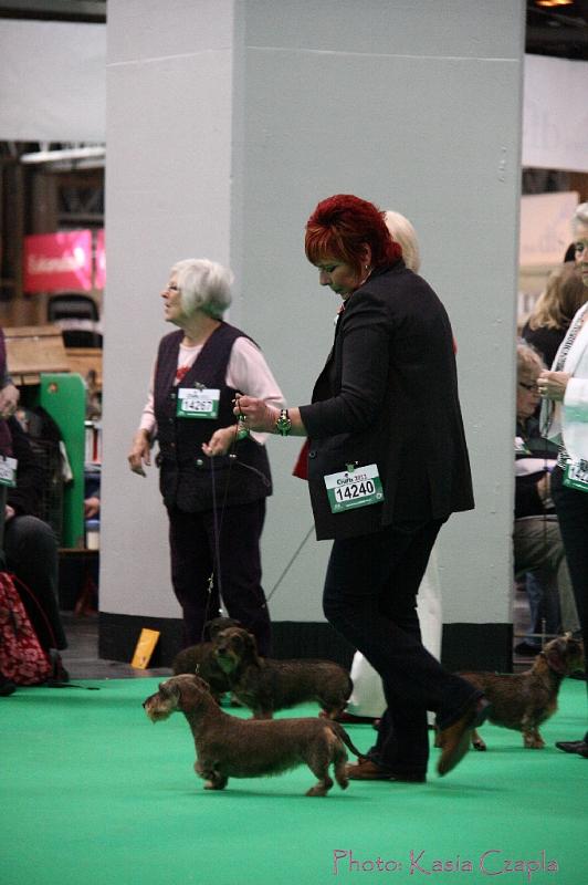 Crufts2011_2 1480.jpg